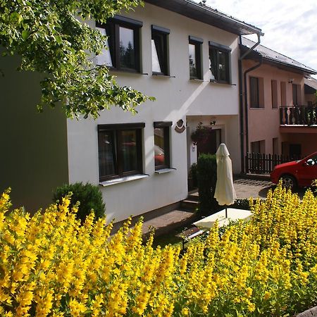 U Machacku - Lipno Apartment Lipno nad Vltavou Luaran gambar