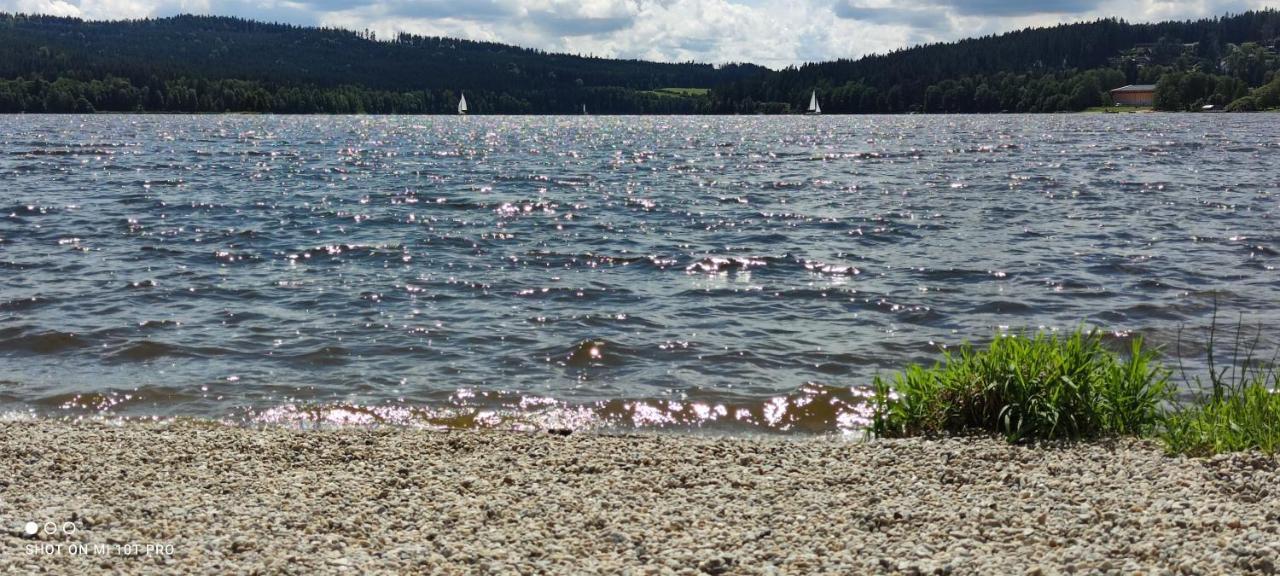 U Machacku - Lipno Apartment Lipno nad Vltavou Luaran gambar