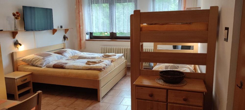 U Machacku - Lipno Apartment Lipno nad Vltavou Luaran gambar
