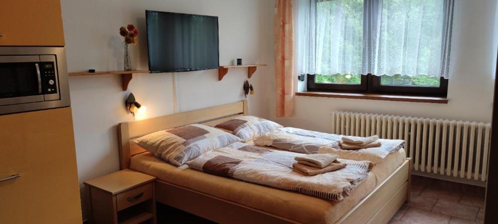 U Machacku - Lipno Apartment Lipno nad Vltavou Luaran gambar