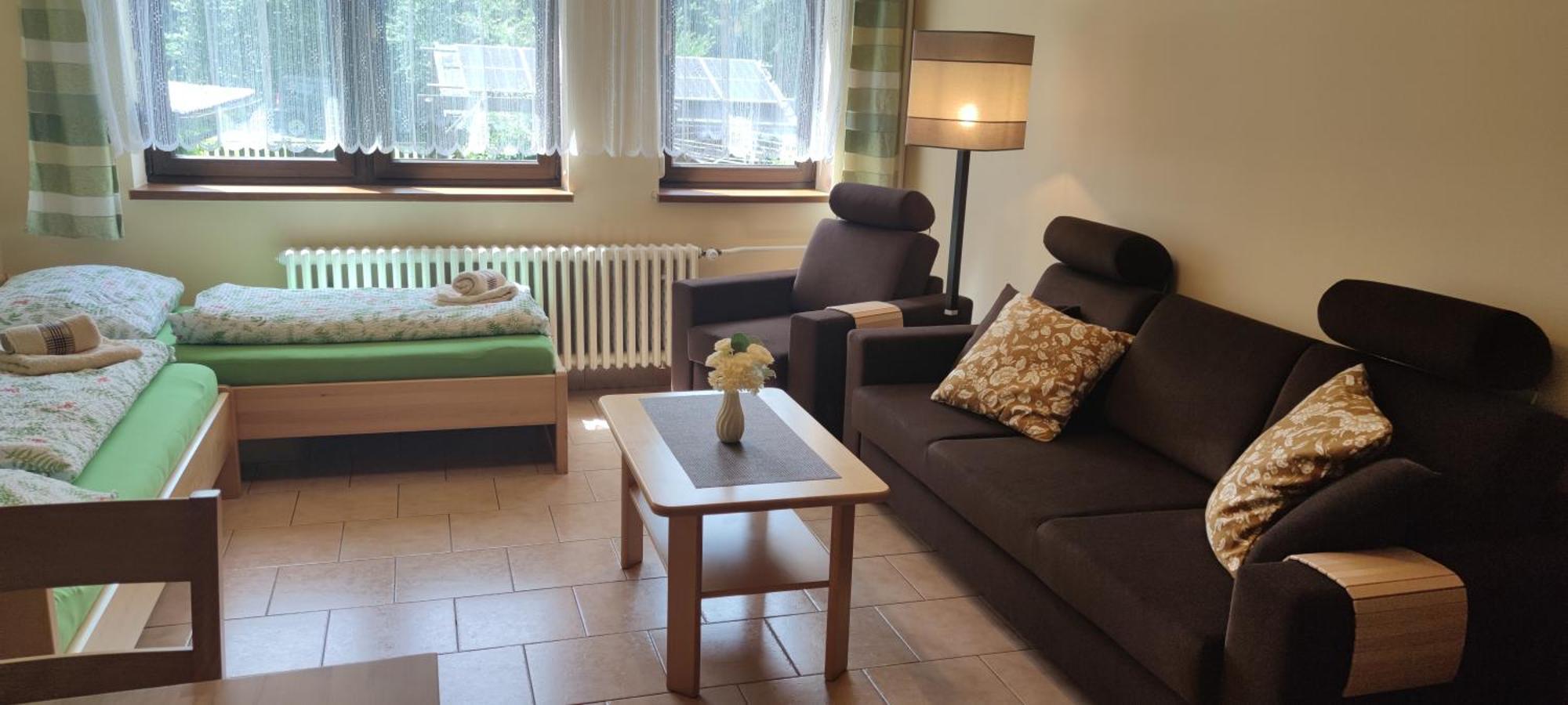 U Machacku - Lipno Apartment Lipno nad Vltavou Luaran gambar
