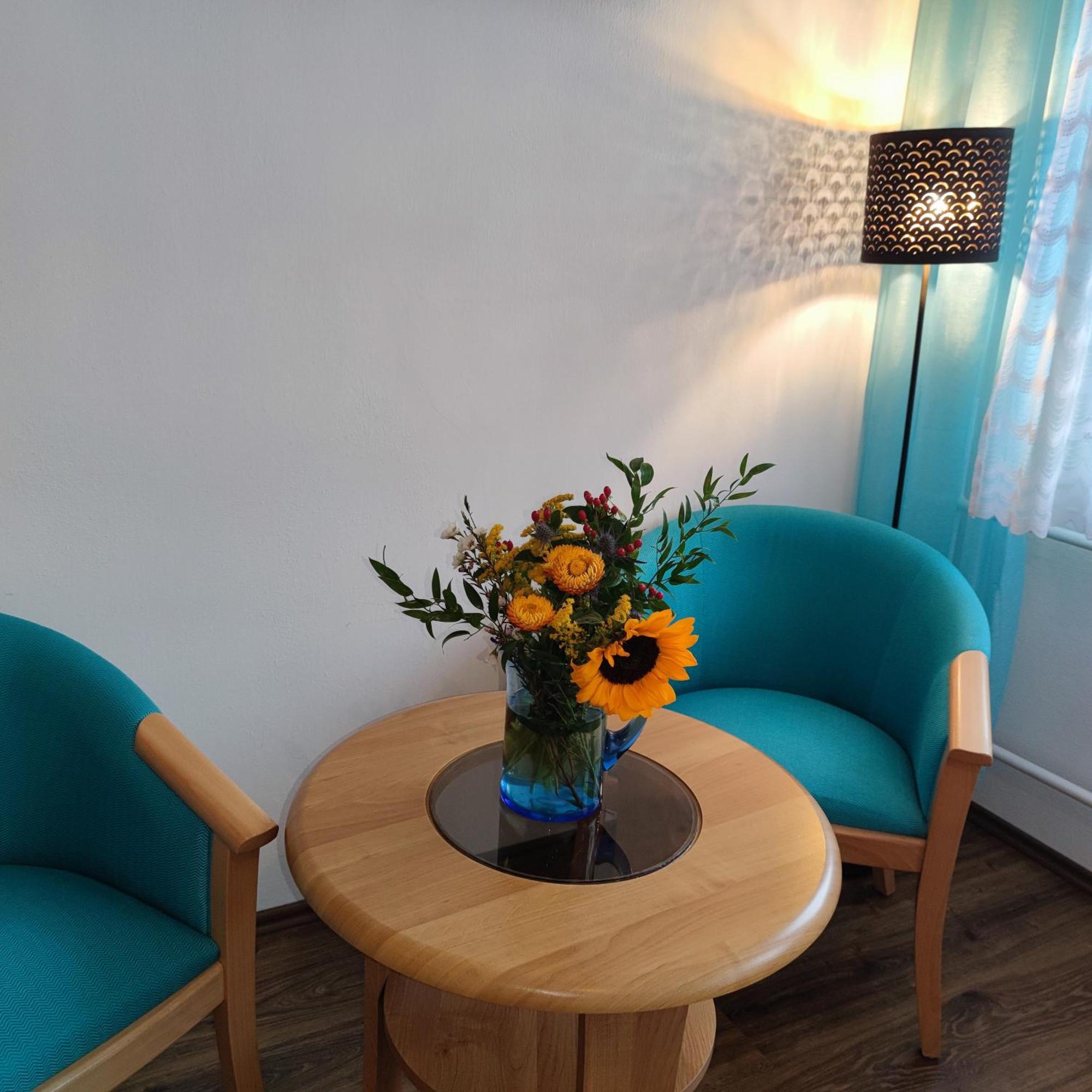 U Machacku - Lipno Apartment Lipno nad Vltavou Luaran gambar