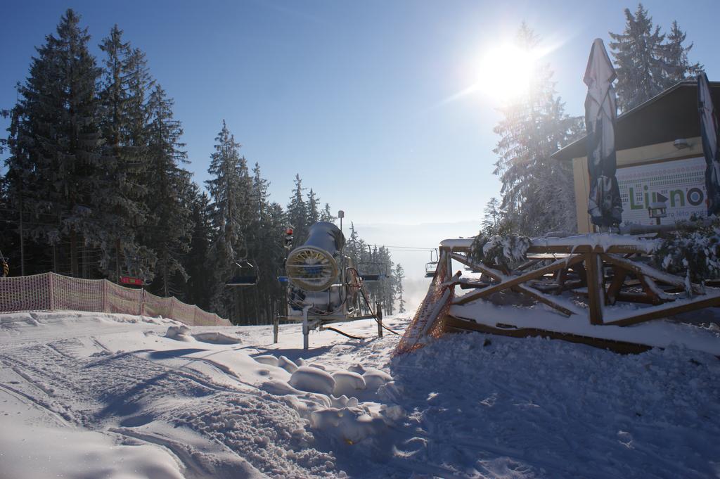 U Machacku - Lipno Apartment Lipno nad Vltavou Luaran gambar