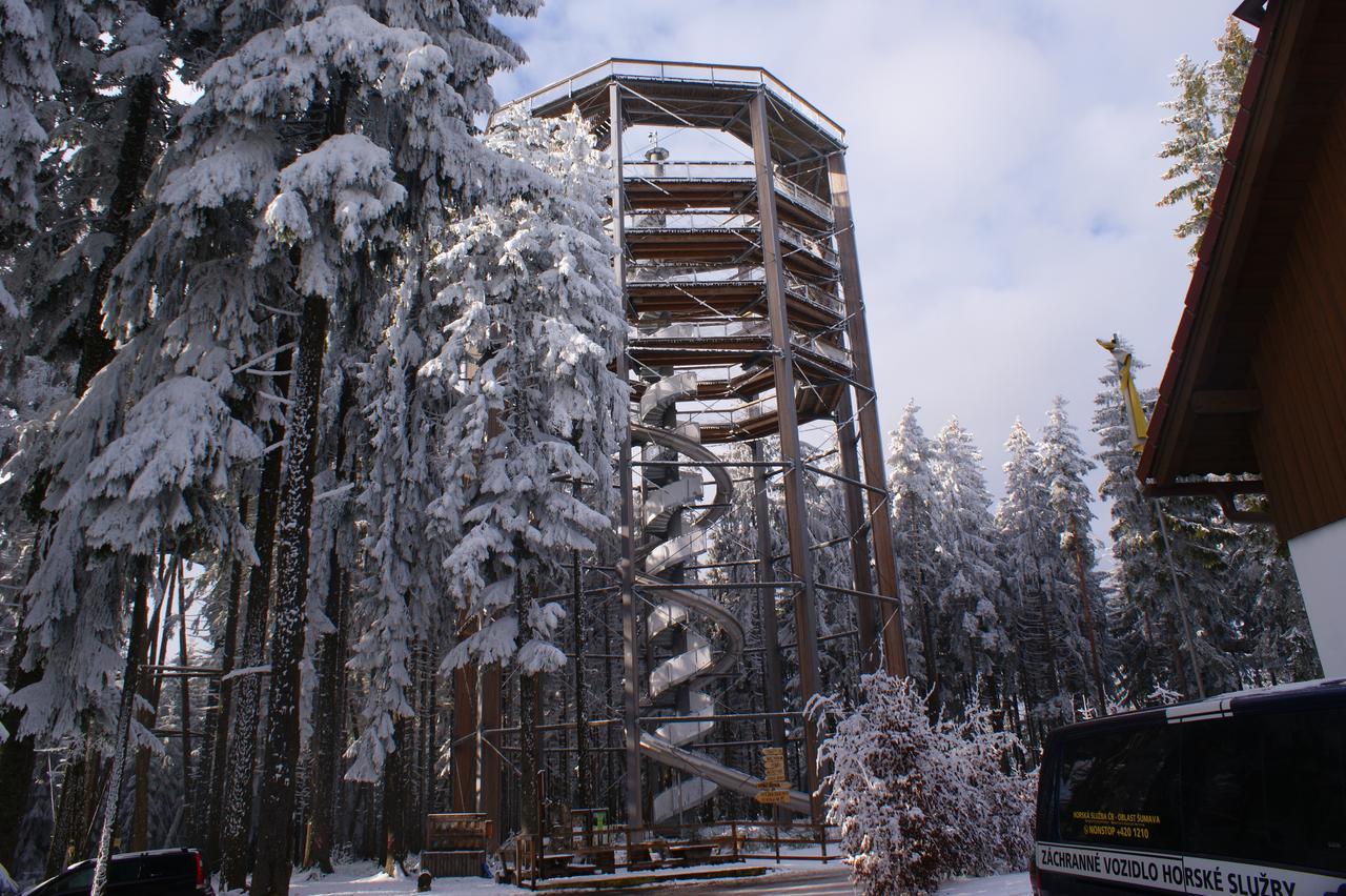 U Machacku - Lipno Apartment Lipno nad Vltavou Luaran gambar