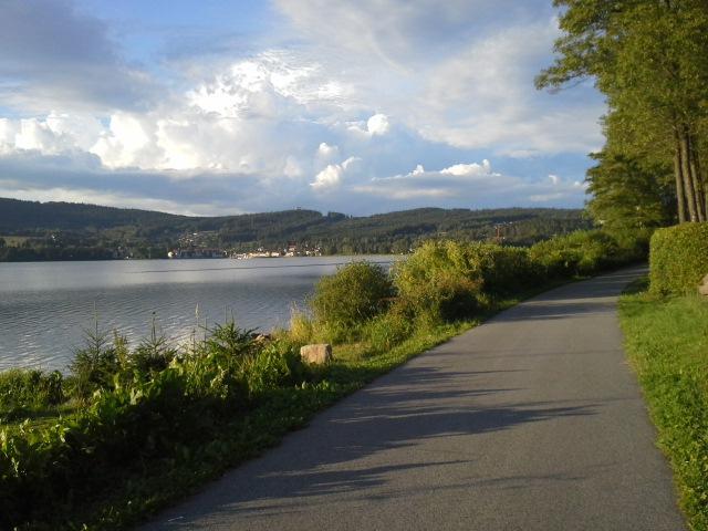 U Machacku - Lipno Apartment Lipno nad Vltavou Luaran gambar