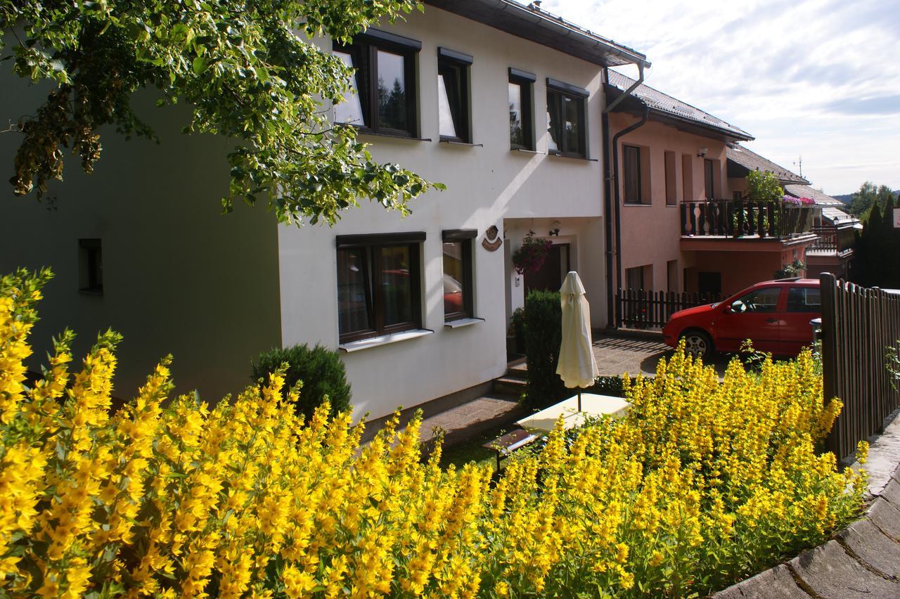 U Machacku - Lipno Apartment Lipno nad Vltavou Luaran gambar